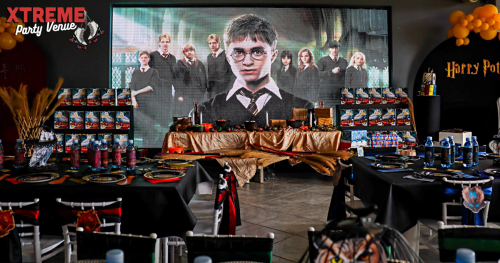 Harry Potter